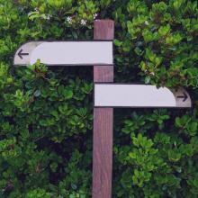 a wooden road sign with two white arrow arms pointing in opposite directions against greenery via Canva