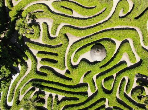 June 2021 photo writing prompt_aerial view of a labyrinth of greenery