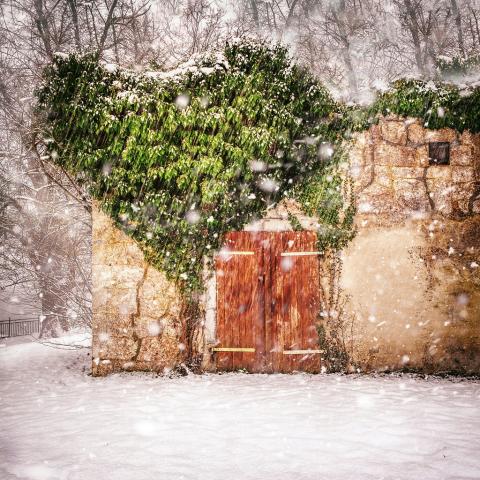 Ruin of stone house with intact wooden door overgrown with greenery in the shape of a heart in a snowy forest_via Simon Berger on Unsplash