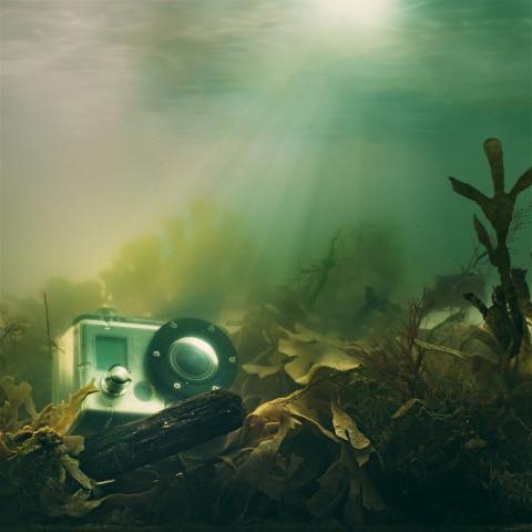 August 2022 photo writing prompt_underwater shot of a digital camera resting on ocean floor in murky but sunlit water with a few aquatic plants around it_Photo by Alexander Andrews on Unsplash