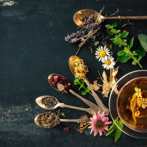 a collection of antique spoons with various herbs and flowers next to a glass teacup filled with herbal tea