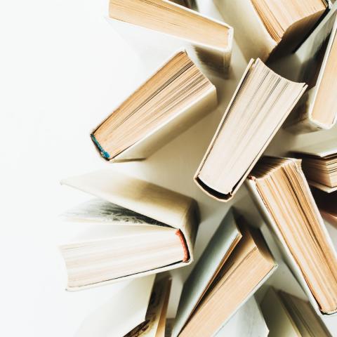 photo of multiple books standing upright on a white surface