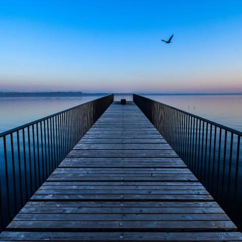 photo of a wooden bridge at dusk extending out over water with a bird flying overheard via Canva