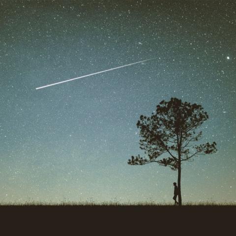 silhouette of a standing person leaning against a single tree on flat terrain under a dark starry sky with a meteor moving across it via Canva