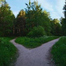 gravel road forking into two paths in a green woods under blue sky via Canva