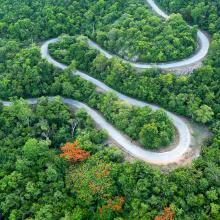 aerial view of a long road winding through dense forest via Canva